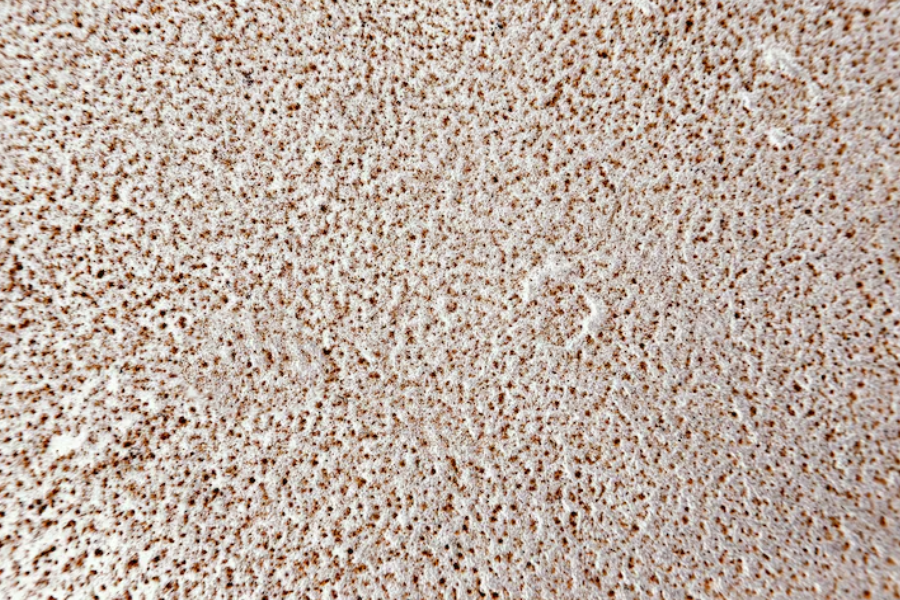 Taş Halı Zemin Kaplama ile Dekoratif Alanlar